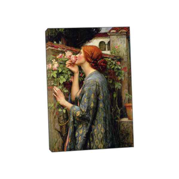 The Soul of The Rose John Williams Picture Paint Picture Reproduction Print On Framed Canvas Wall Art Home Decoration