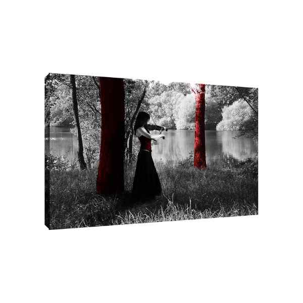 Gothic Girl Playing A Violin Print ON Framed Canvas Wall Art Home Decoration