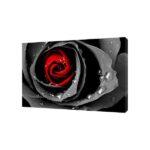 Large RED Black Rose Picture Print On Framed Canvas Wall Art Home Decoration