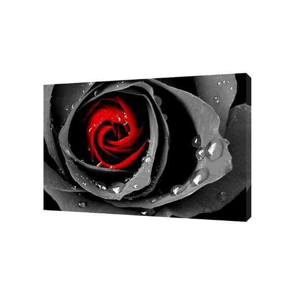 Large RED Black Rose Picture Print On Framed Canvas Wall Art Home Decoration